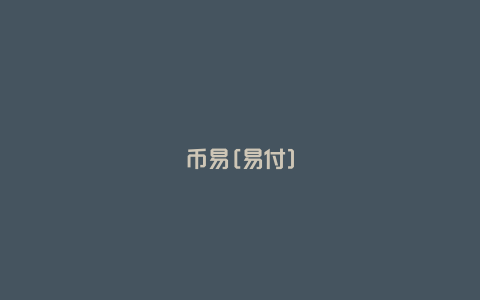 币易[易付]