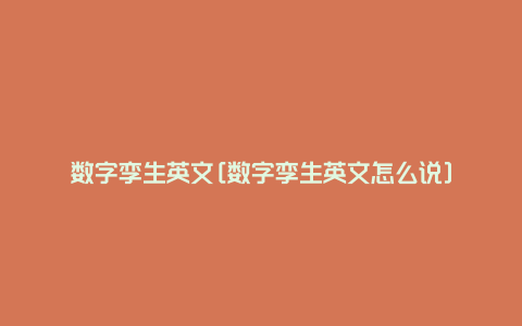 数字孪生英文[数字孪生英文怎么说]