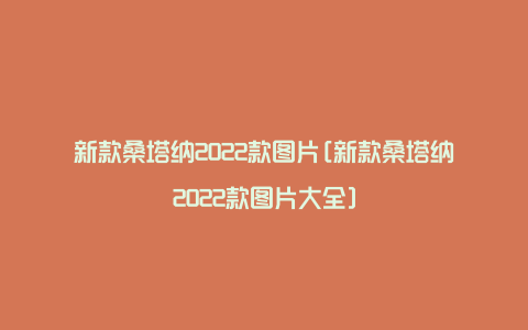 新款桑塔纳2022款图片[新款桑塔纳2022款图片大全]