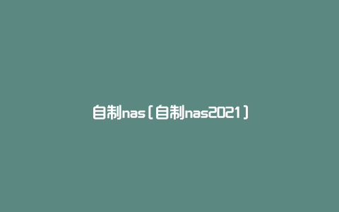 自制nas[自制nas2021]