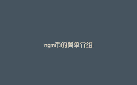 ngm币的简单介绍