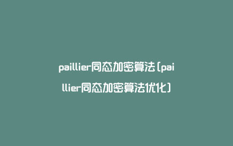 paillier同态加密算法[paillier同态加密算法优化]