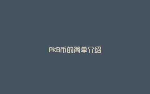 PKB币的简单介绍