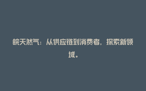 皖天然气：从供应链到消费者，探索新领域。