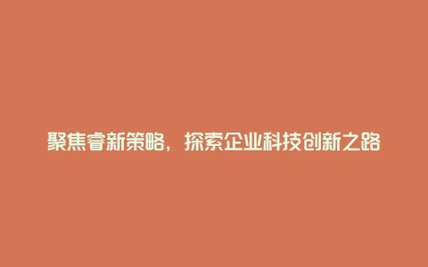 聚焦睿新策略，探索企业科技创新之路