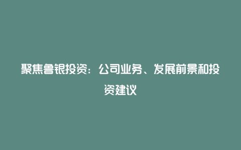 聚焦鲁银投资：公司业务、发展前景和投资建议