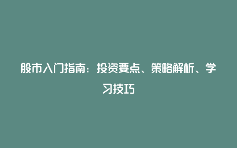 股市入门指南：投资要点、策略解析、学习技巧