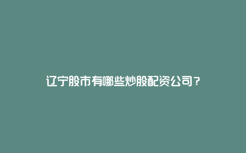 辽宁股市有哪些炒股配资公司？