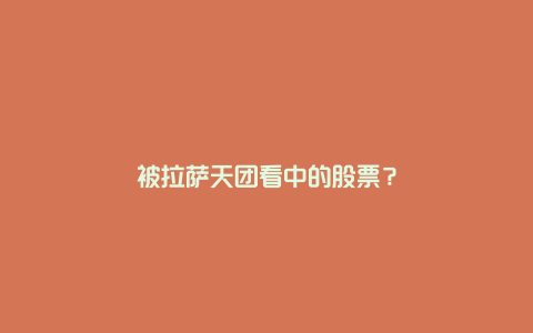 被拉萨天团看中的股票？