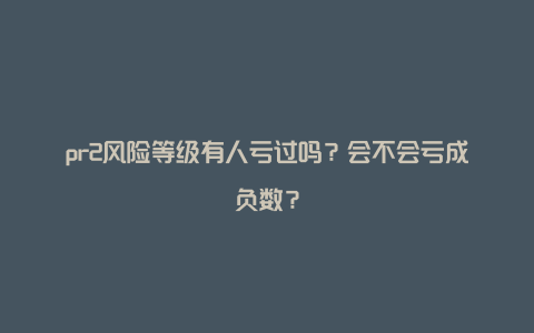 pr2风险等级有人亏过吗？会不会亏成负数？