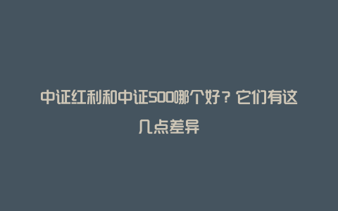 中证红利和中证500哪个好？它们有这几点差异