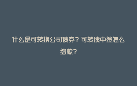 什么是可转换公司债券？可转债中签怎么缴款？