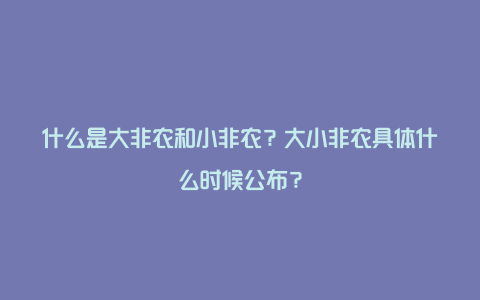 什么是大非农和小非农？大小非农具体什么时候公布？