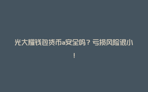 光大耀钱包货币a安全吗？亏损风险很小！