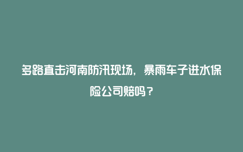 多路直击河南防汛现场，暴雨车子进水保险公司赔吗？