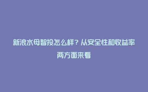 新浪水母智投怎么样？从安全性和收益率两方面来看