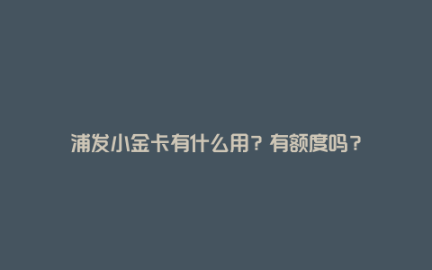 浦发小金卡有什么用？有额度吗？