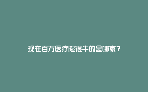 现在百万医疗险很牛的是哪家？